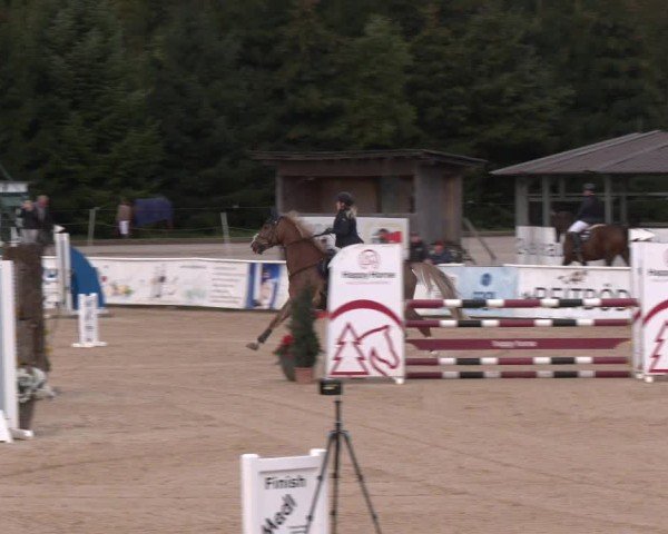Reitturnier Ranshofen - Braunau am Inn 2024