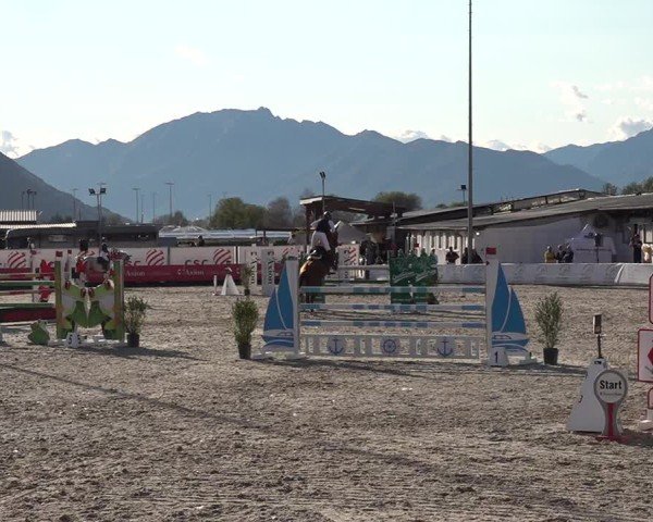 Reitturnier Giubiasco 2024