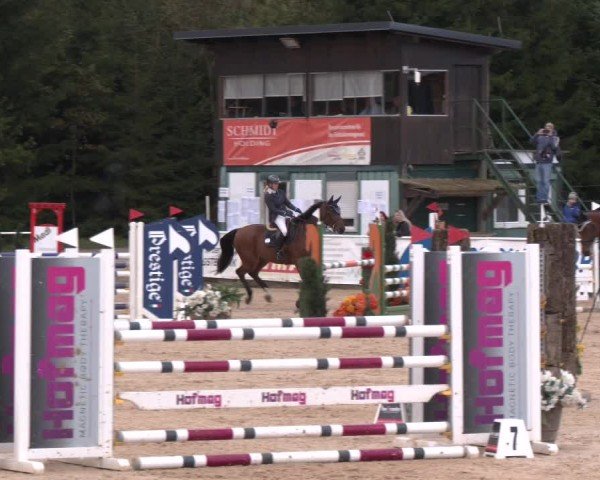 Reitturnier Ranshofen - Braunau am Inn 2024