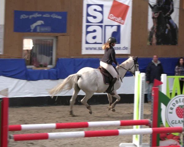 Reitturnier Gadebusch 2024