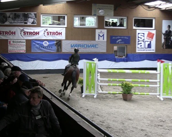 Reitturnier Gadebusch 2024