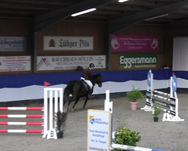 Reitturnier Gadebusch 2024