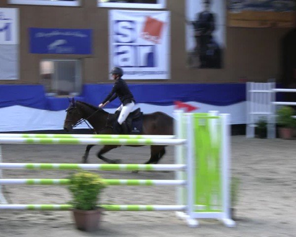 Reitturnier Gadebusch 2024