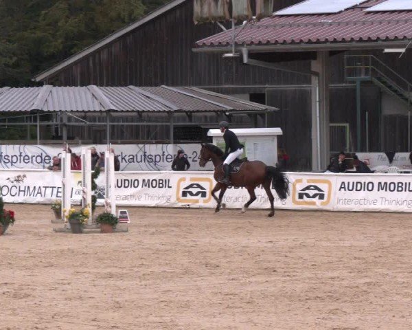 Reitturnier Ranshofen - Braunau am Inn 2024