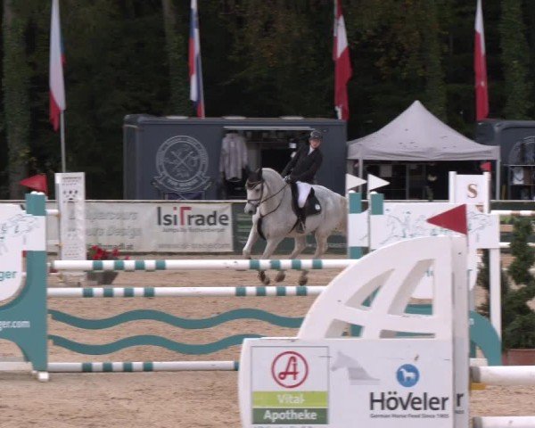 Reitturnier Ranshofen - Braunau am Inn 2024