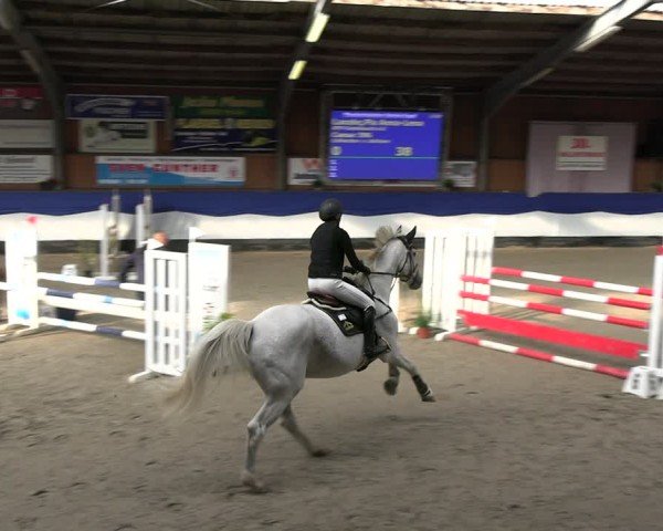 Reitturnier Gadebusch 2024