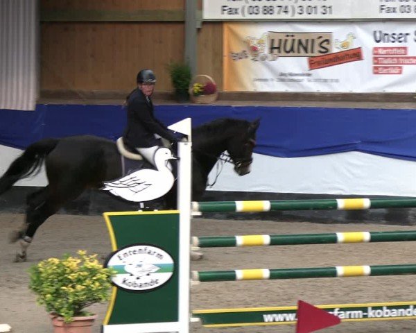 Reitturnier Gadebusch 2024