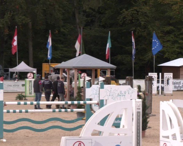 Reitturnier Ranshofen - Braunau am Inn 2024