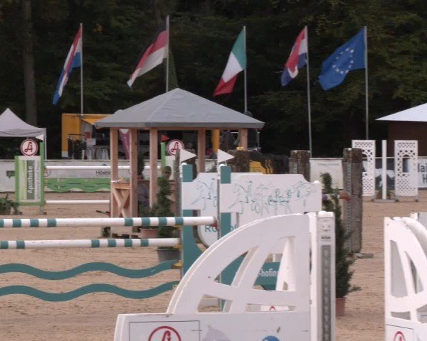 Reitturnier Ranshofen - Braunau am Inn 2024
