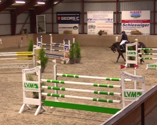 Reitturnier Behrendorf 2024