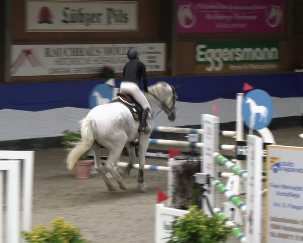 Reitturnier Gadebusch 2024