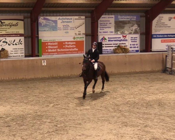Reitturnier Behrendorf 2024