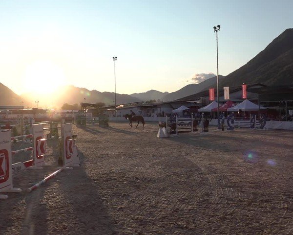 Reitturnier Giubiasco 2024