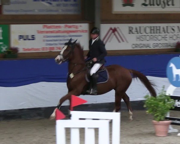 Reitturnier Gadebusch 2024