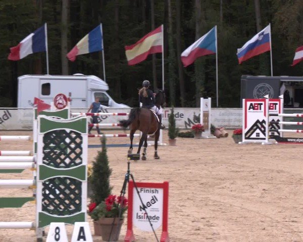 Reitturnier Ranshofen - Braunau am Inn 2024