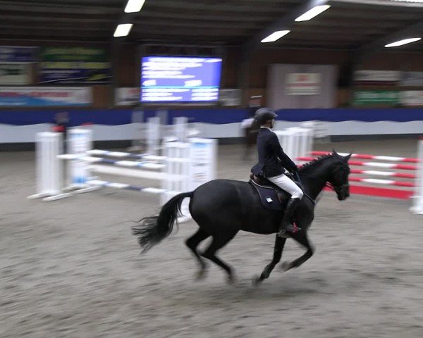 Reitturnier Gadebusch 2024