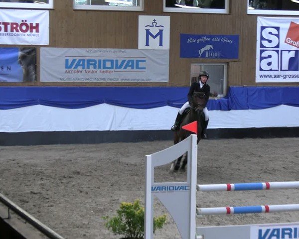 Reitturnier Gadebusch 2024