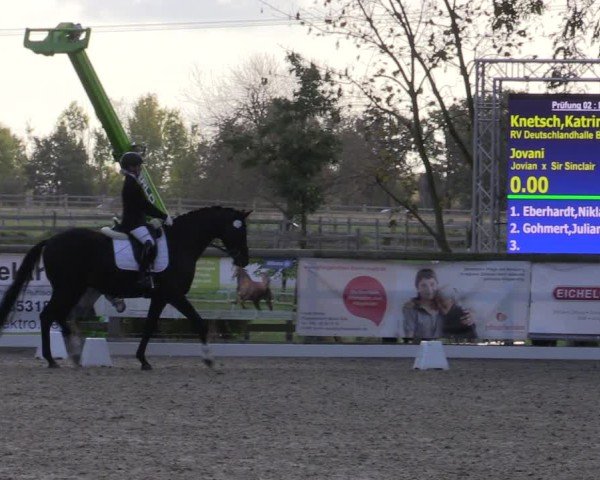 Reitturnier Ruhlsdorf 2024