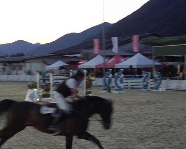 Reitturnier Giubiasco 2024