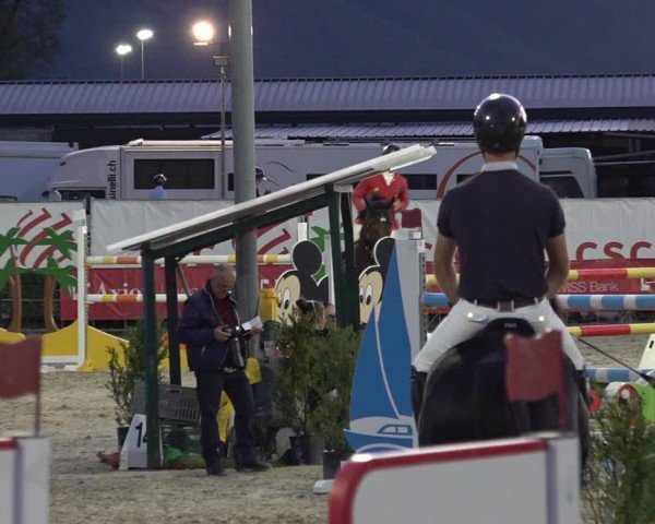 Reitturnier Giubiasco 2024