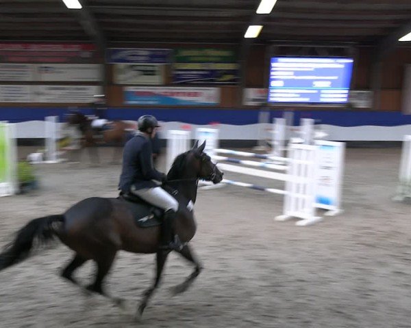 Reitturnier Gadebusch 2024