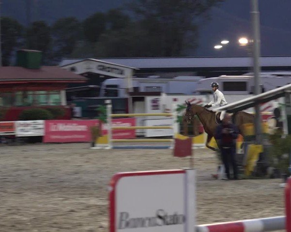 Reitturnier Giubiasco 2024