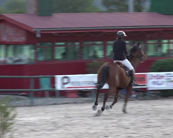 Reitturnier Giubiasco 2024