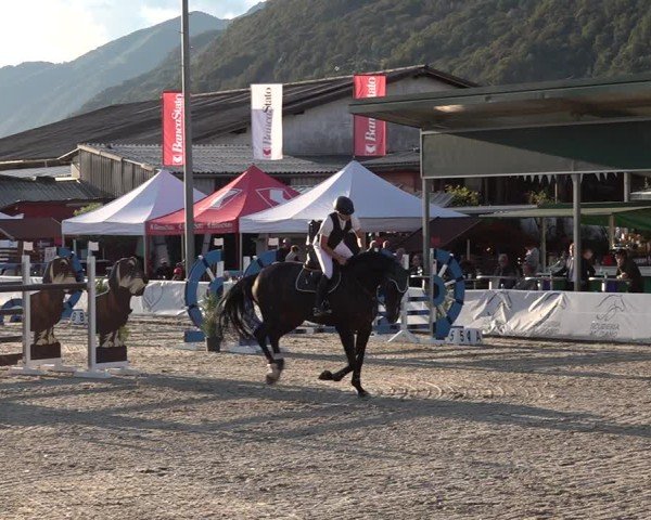 Reitturnier Giubiasco 2024