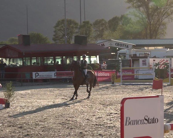 Reitturnier Giubiasco 2024