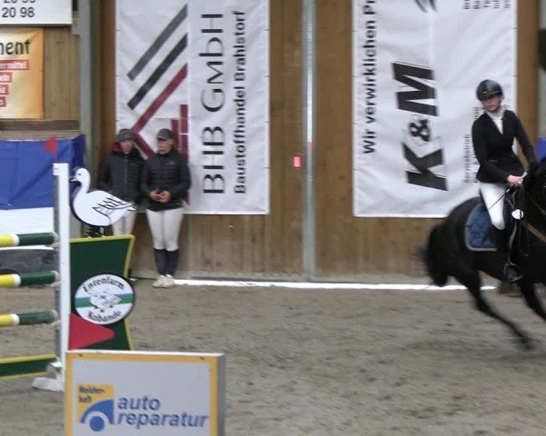 Reitturnier Gadebusch 2024