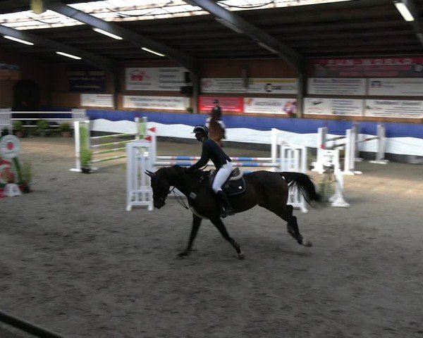 Reitturnier Gadebusch 2024