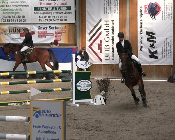 Reitturnier Gadebusch 2024