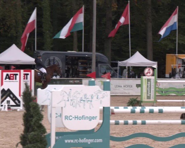 Reitturnier Ranshofen - Braunau am Inn 2024