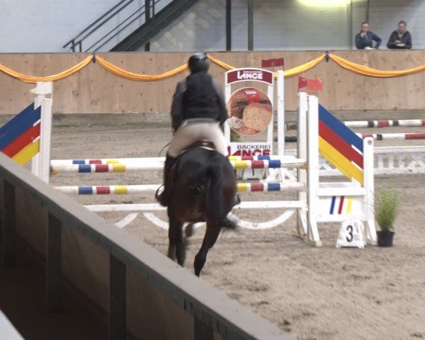 Reitturnier Salzkotten 2024