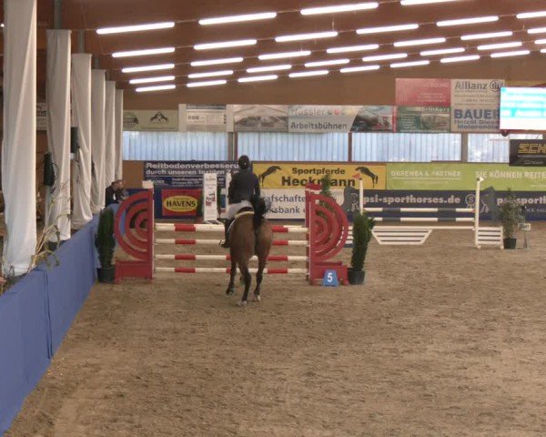 Reitturnier Isterberg 2024