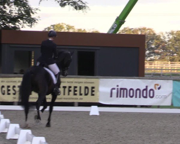 Reitturnier Ruhlsdorf 2024