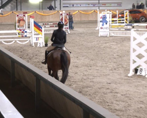 Reitturnier Salzkotten 2024