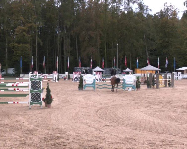 Reitturnier Ranshofen - Braunau am Inn 2024