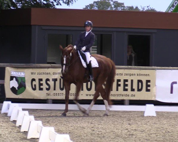Reitturnier Ruhlsdorf 2024