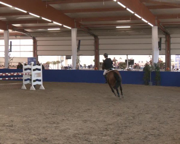 Reitturnier Isterberg 2024
