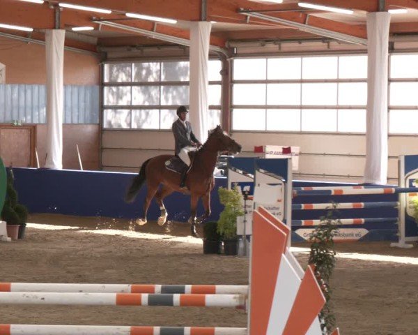 Reitturnier Isterberg 2024