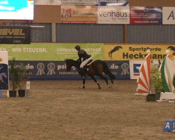 Reitturnier Isterberg 2024
