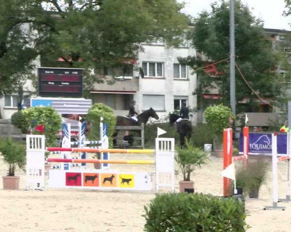 Pferdesporttage Neuendorf SO 2021
