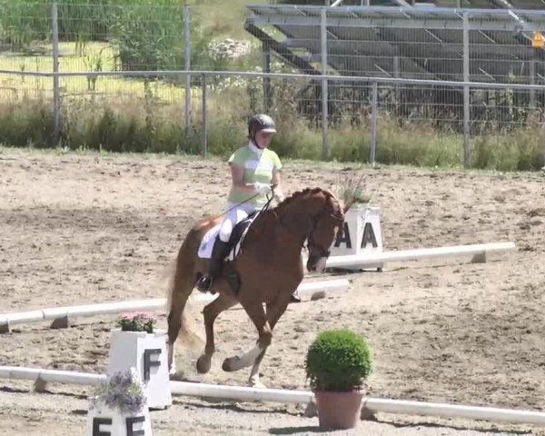 Leutkirch-Haid 2013
