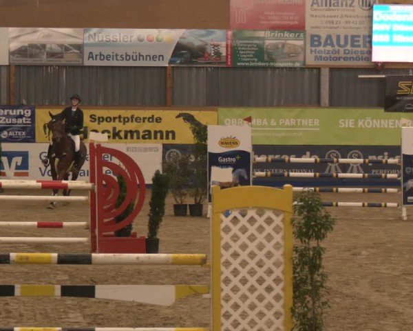 Reitturnier Isterberg 2024