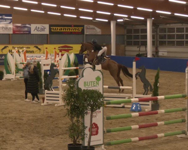 Reitturnier Isterberg 2024