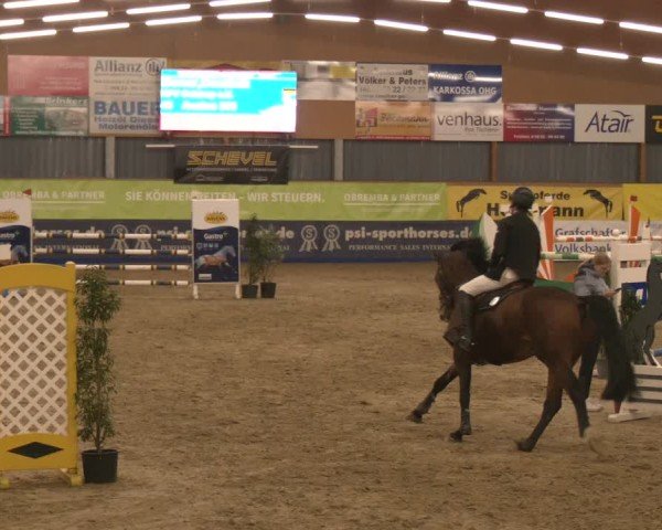 Reitturnier Isterberg 2024