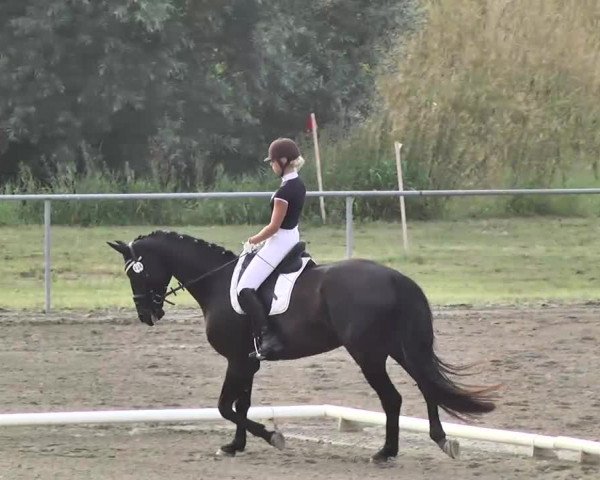 Leutkirch-Haid 2013