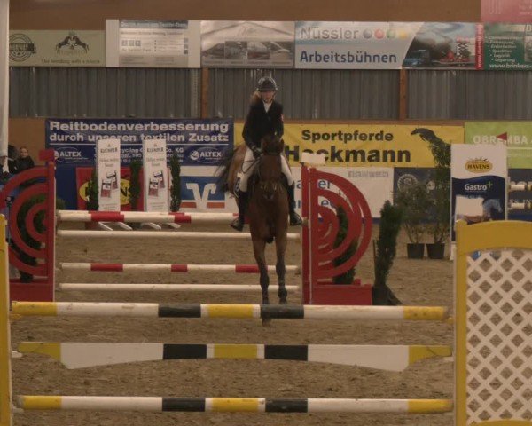 Reitturnier Isterberg 2024