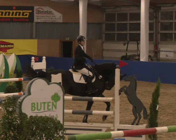 Reitturnier Isterberg 2024